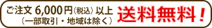 6000円以上の注文で送料無料