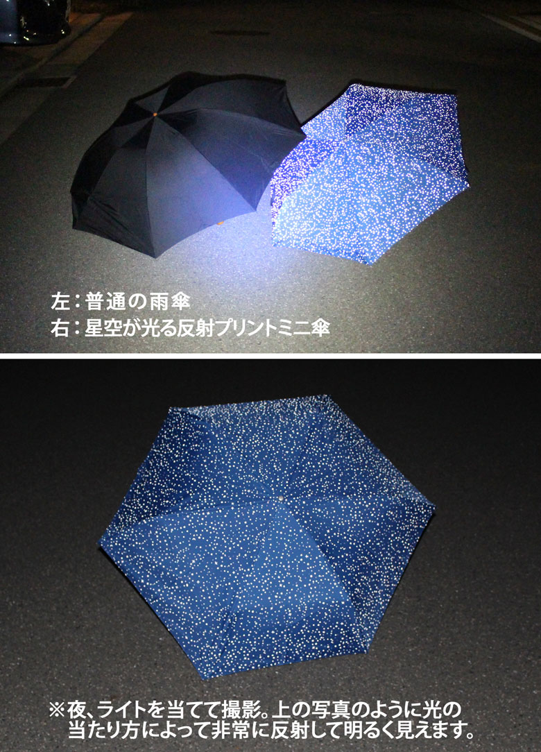 夜道でライトを当てた写真