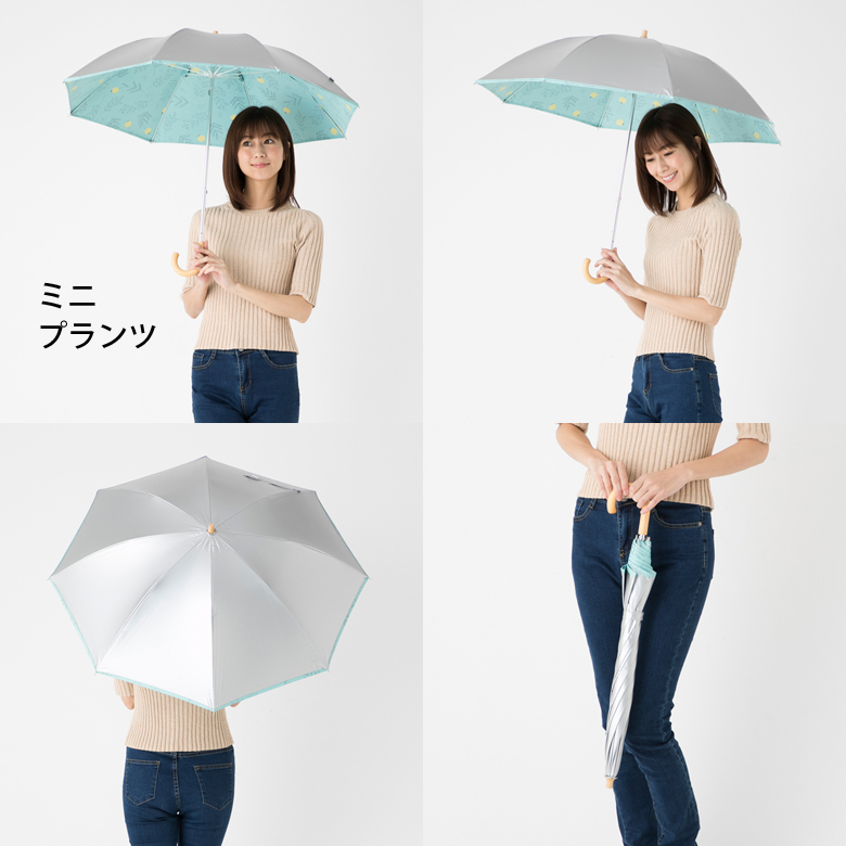 シルバー/ミニプランツ