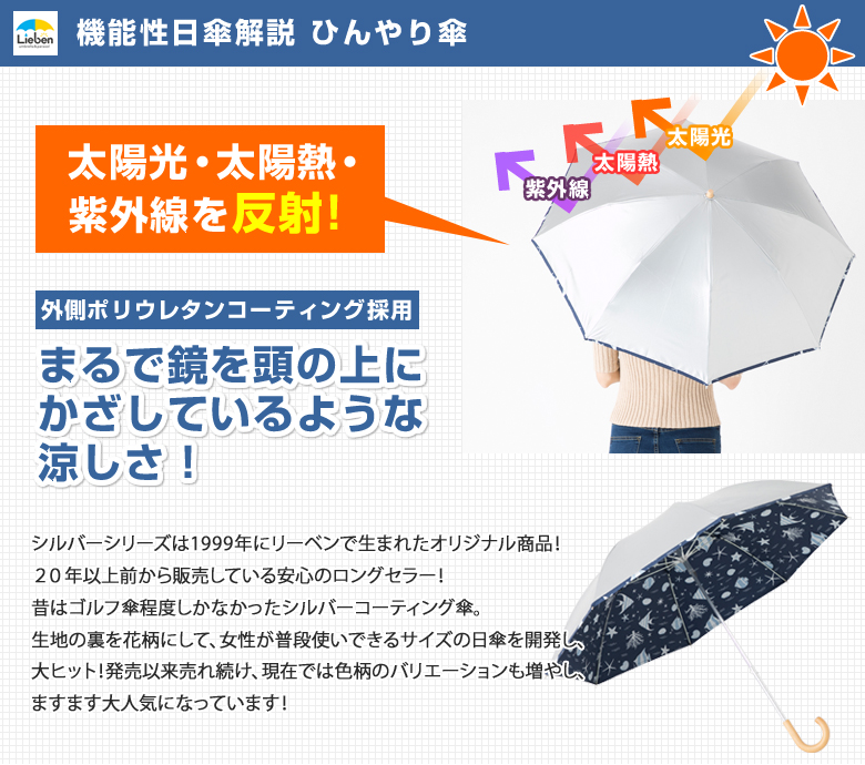 まるで鏡のように日光を反射