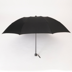 ブラックの傘