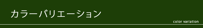 カラーバリエーション、見出し